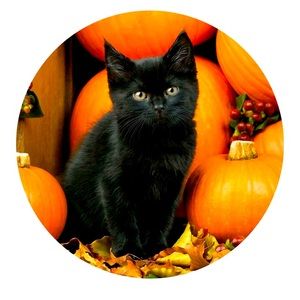 LOVE ANIMALS AND ALWAY BE KIND